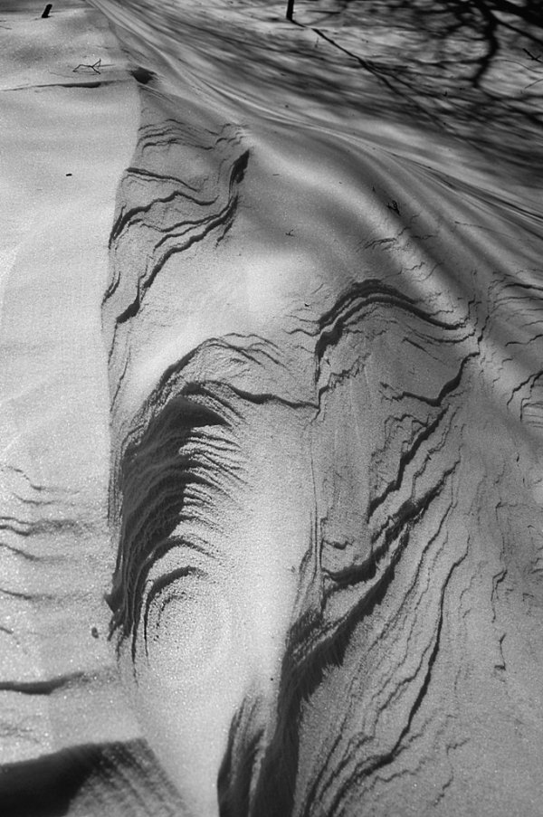 Фотовиставка Лідії Кожевнікової 